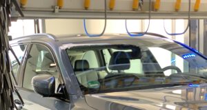 Engagement für Klimaschutz: WashTec pflanzt 800 Bäume