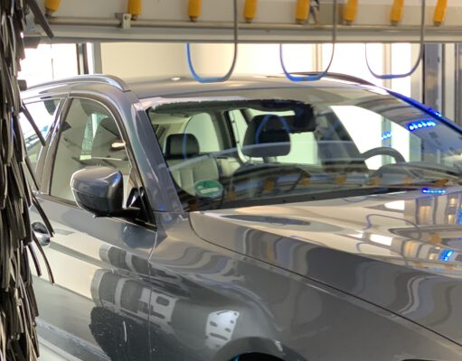 Engagement für Klimaschutz: WashTec pflanzt 800 Bäume