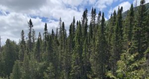 22. März ist Weltwassertag 2023