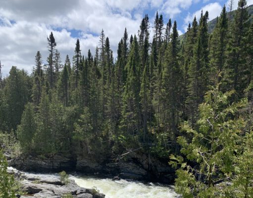 22. März ist Weltwassertag 2023