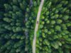 Bis zu 90 % weniger Plastikmüll und CO2-Emissionen bei Verpackungen