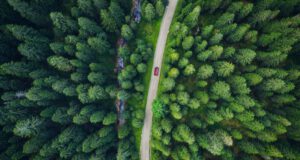 Bis zu 90 % weniger Plastikmüll und CO2-Emissionen bei Verpackungen