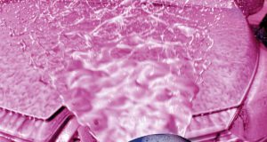 Pinker Schaum in der Schusslinie Farbiger Schaum in SB-Waschanlagen